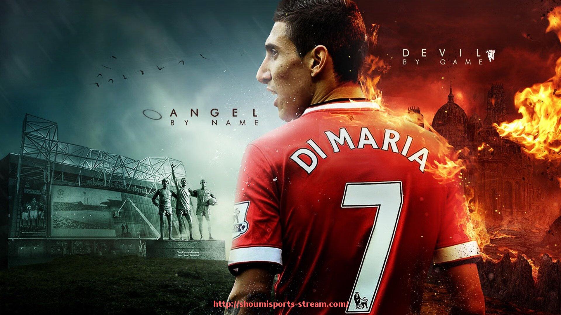 收米体育直播-坐姿背部健身器材推荐与训练方法详解,守护脊柱健康的好帮手