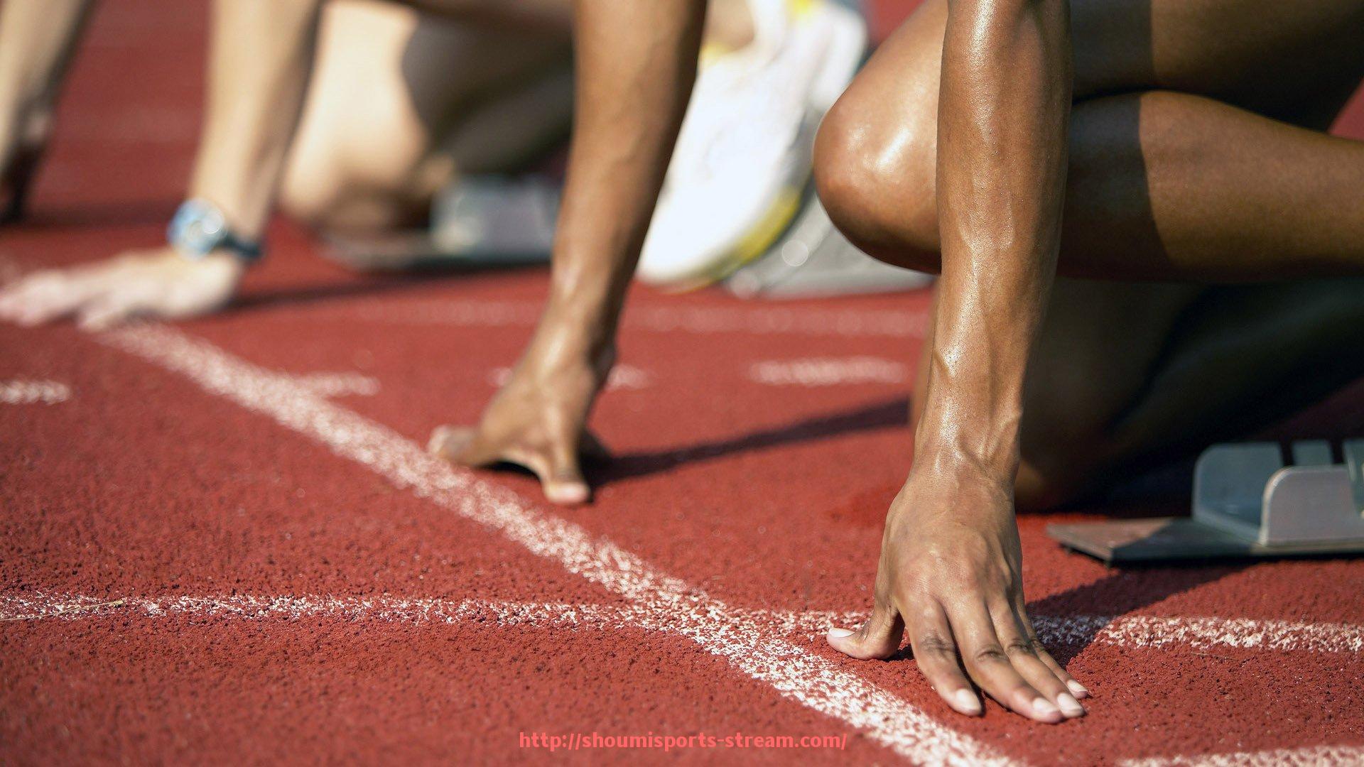 收米体育直播-当前市场上最受欢迎的健身器材品牌